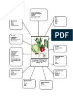 Minggu 13 - 14 Sayur-Sayuran