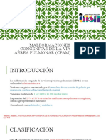 CPAM: Clasificación y Presentación de la Malformación Congénita de la Vía Aérea Pulmonar