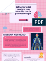 Estructura cerebral y psicopatología