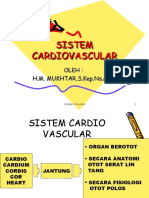ANATOMI - Cardiovascular
