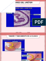 Formato Presentación Jeimi Yune