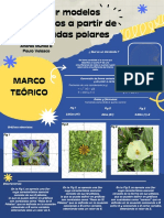 Realizar Modelos Matemáticos A Partir de Coordenadas Polares