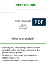 Evolution of Crops - D.Tay-2