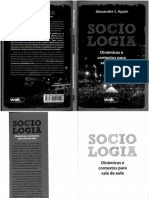 Sociologia Dinamicas e Contextos Para Sala de Aula