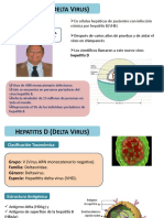 Hepatitis D (Delta Virus): Características, Estructura y Genoma