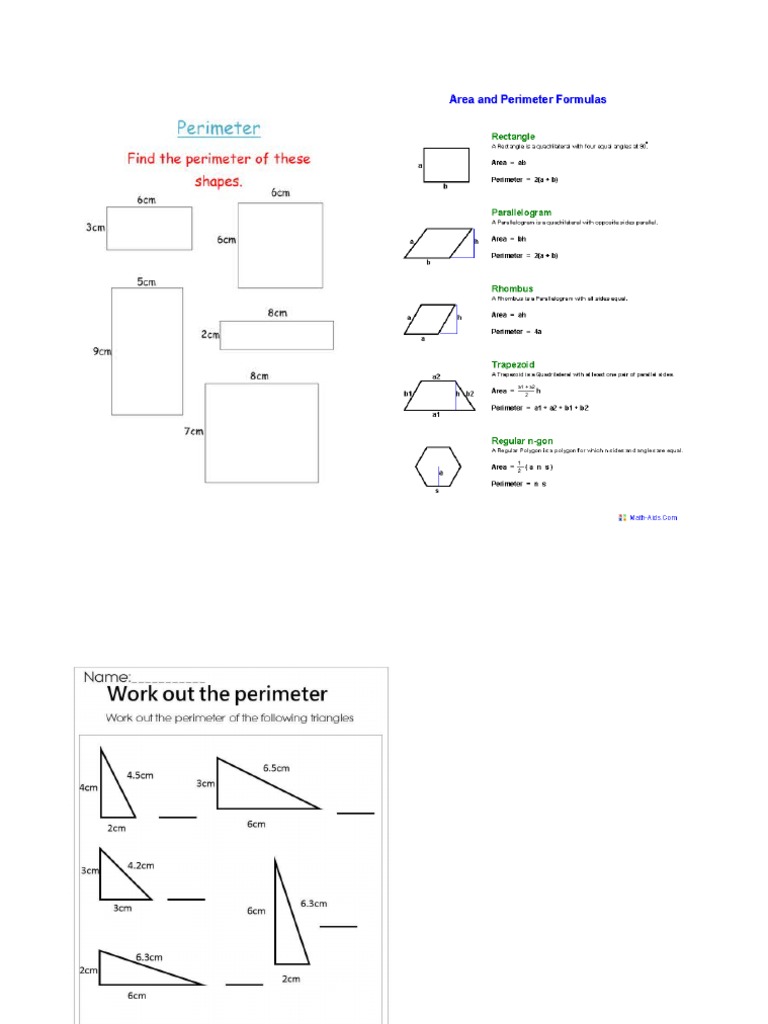 Perimeter | PDF