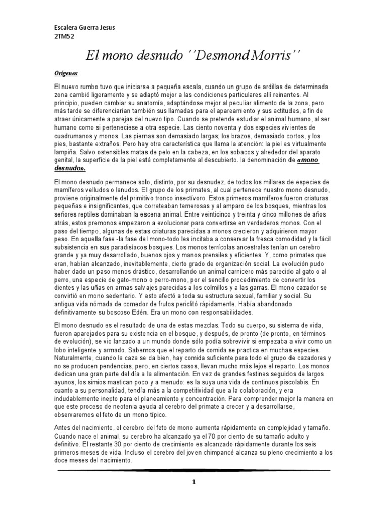 El (deity) visual data 2