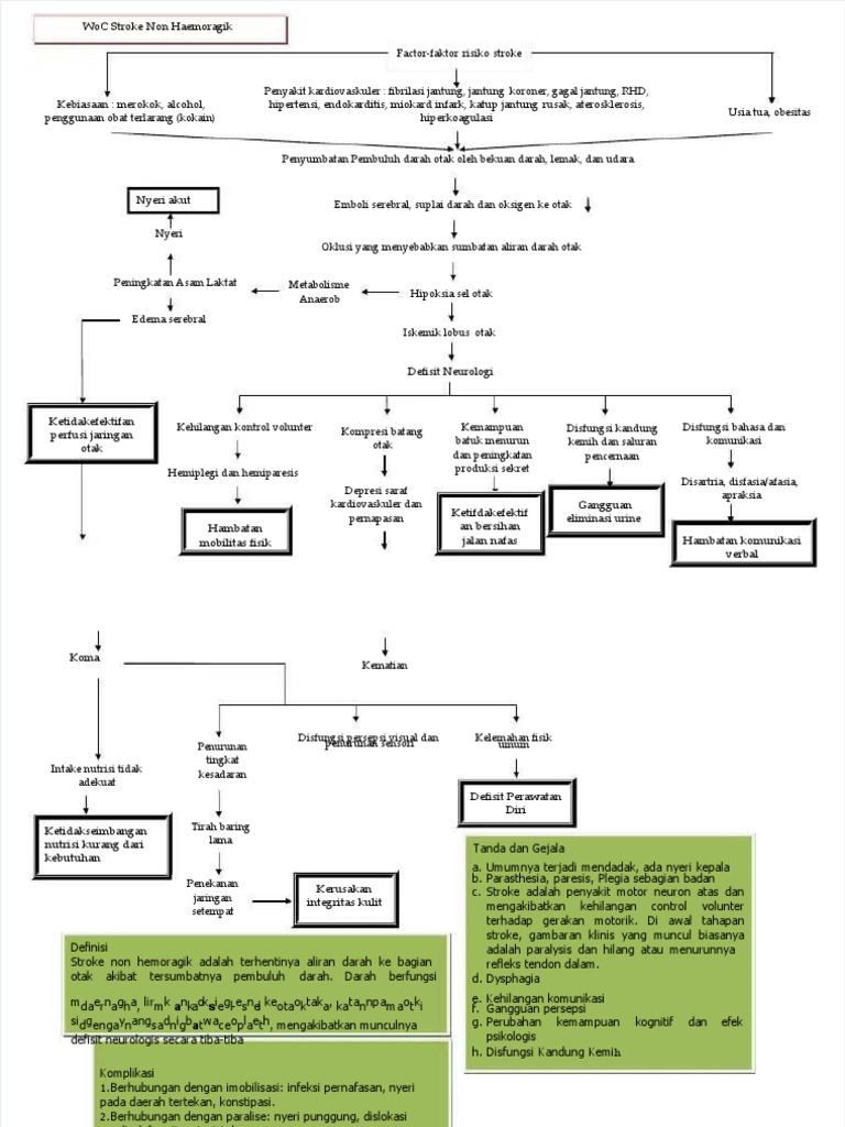 Pathway Stroke Non Hemoragik | PDF
