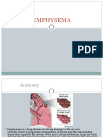 Emphysema 130225220152 Phpapp01 Converted