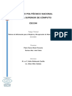 Sistema de Información para El Registro y Recuperación de Mascotas