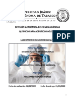 Práctica N°3-Labm2-Identificación de Enterobacterias