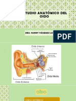 Anatomía Del Oído-Dra. Fanny Vásquez L