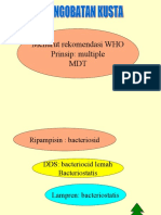 Pengobatan + DDSS Papua