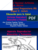 s reproductor fem y masc (1)