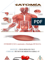 Anatomia Topgrafica T.M.G 6