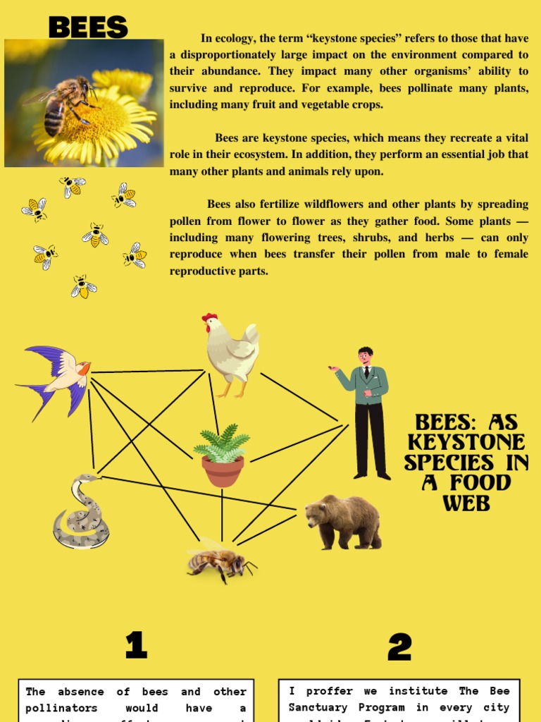 Bees Are Keystone Species, Which Means They Recreate A Vital | PDF