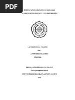 Analisa Putusan No: 31/pid - Sus/2021/PN SWL | PDF