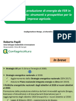 Agro - Energia - Papili - Rovigo - 12 - 12-DM 2019 - BIOGAS E BIOMETANO