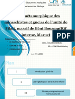 Etude Métamorphique Des Micaschistes Et Gneiss de L'unité de Filali, Massif de Beni Bousera (Rif Interne, Maroc)