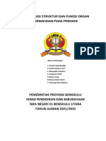 Identifikasi Struktur Dan Fungsi Organ Pernafasan Pada Perokok