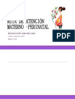 Ruta de Atencion Materno Perinatal