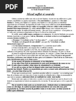 CCD - Micul suflet si soarele
