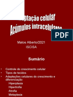 Controle do crescimento celular e adaptações