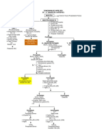 Diagrama Iv Grupo de Cationes-1