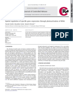 Spatial regulation of specific gene expression through photoactivation of RNAi (Photoinduced endosomal escape of Cy5