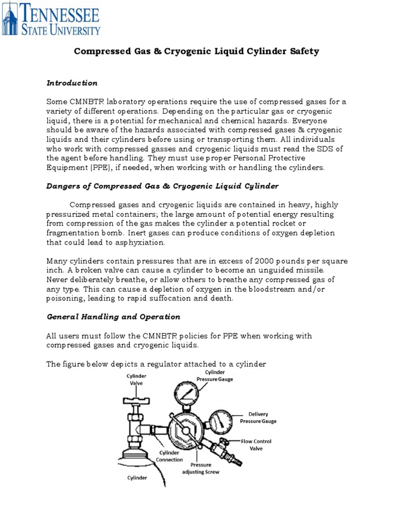 Compressed Gas Cylinder Safety Guide | PDF | Valve | Gases