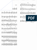 Particella alto Decruck Pavane