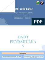 CRS: Luka Bakar