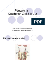 penyuluhan-kesehatan-gigi-mulut