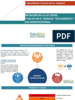 Sesion 01 Ley 29783, PDF