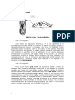 DEZVOLTAREA TUBULUI NEURALcompletare Curs3,4.