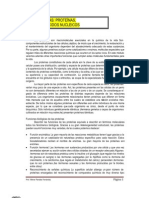 Protein As, Enzimas y Acidos Nucleicos