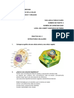 Prelab 3 Celula y Soluciones