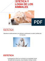 Estética y Etología de Los Animales