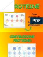 dokumen.tips_3-proteine-559c102027b60 (1)