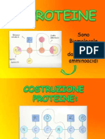 Dokumen - Tips - 3 Proteine 559c102027b60