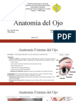 1. Anatomia Del Ojo