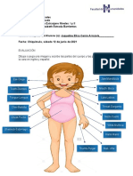 EVALUACIÓN IDIOMA EXTRANJERO NIVELES I Y II SÁBADO 12-06-2021.jaqui