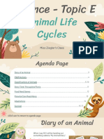 Ziegler Jayda - Animal Life Cycles