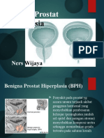 Plasia: Benigna Prostat Hiper