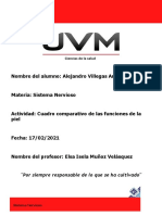 Cuadro Comparativo Funciones de La Piel