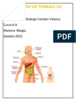 La Nutrición Un Trabajo en Equipo