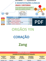 Tabelas Padrão Orgaos Internos - Concluido - Turma 329 Camilla B