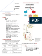 Understanding the Neurologic System in 40 Characters