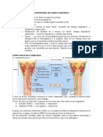 Clase 3. Generalidades Sistema Respiratorio