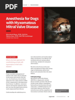 Anesthesia For Dogs With Myxomatous Mitral Valve Disease